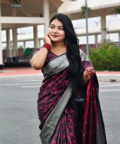 কাশ্মীরি কাঞ্জিভরম ব্লাউজ পিসসহ সিলভার-গোলাপি