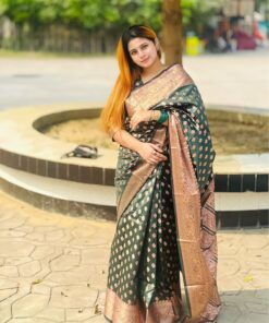 কাশ্মীরি কাঞ্জিভরম ব্লাউজ পিসসহ গ্রিন পরিমনি