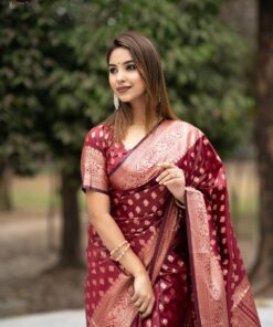 কাশ্মীরি কাঞ্জিভরম ব্লাউজ পিসসহ মেরুন পরিমনি
