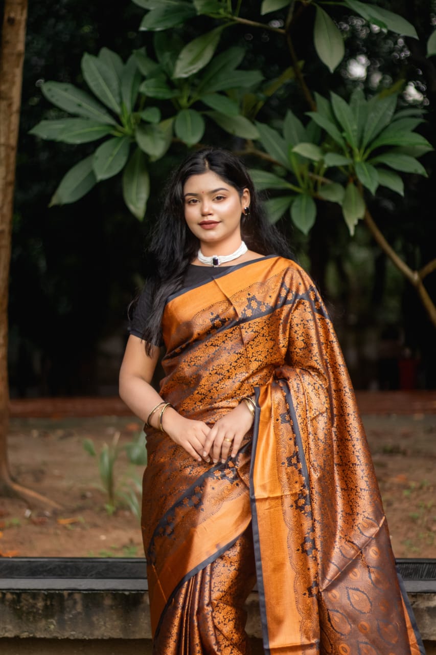 কাঞ্জিভরন ব্লাউজ পিসসহ ব্লাক- গোল্ডেন