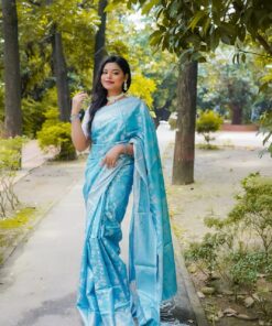 কাশ্মীরি লতা কাতান শুধু শাড়ি আকাশী
