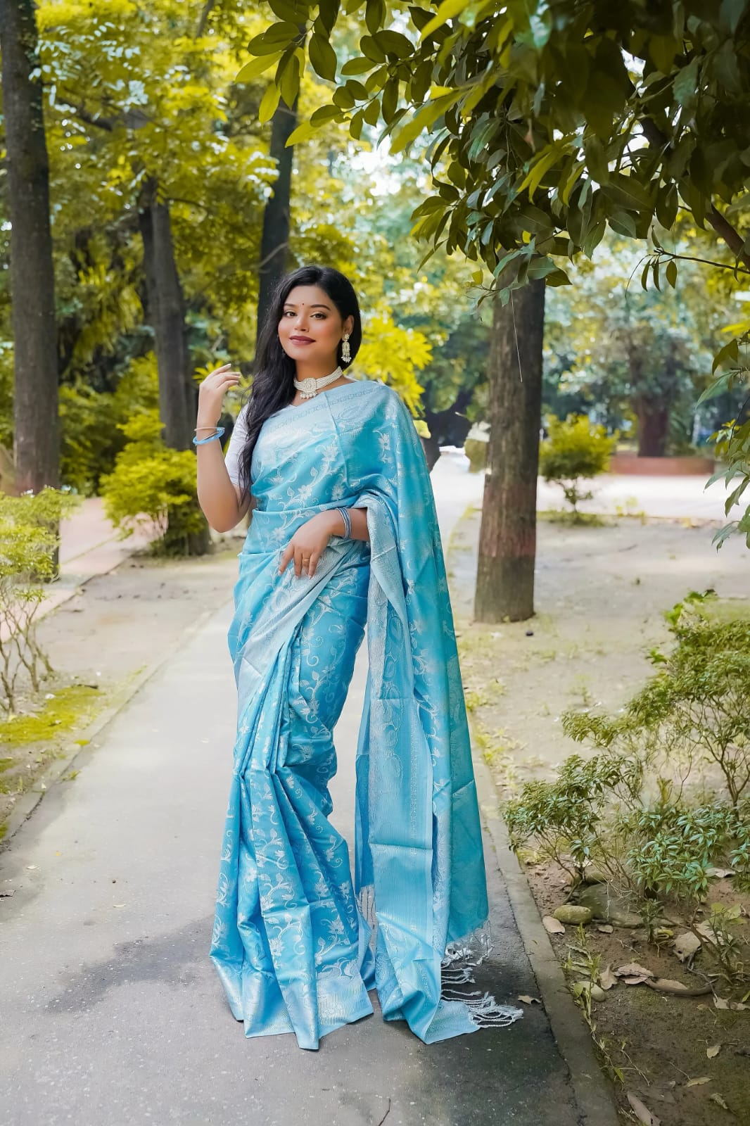 কাশ্মীরি লতা কাতান শুধু শাড়ি আকাশী