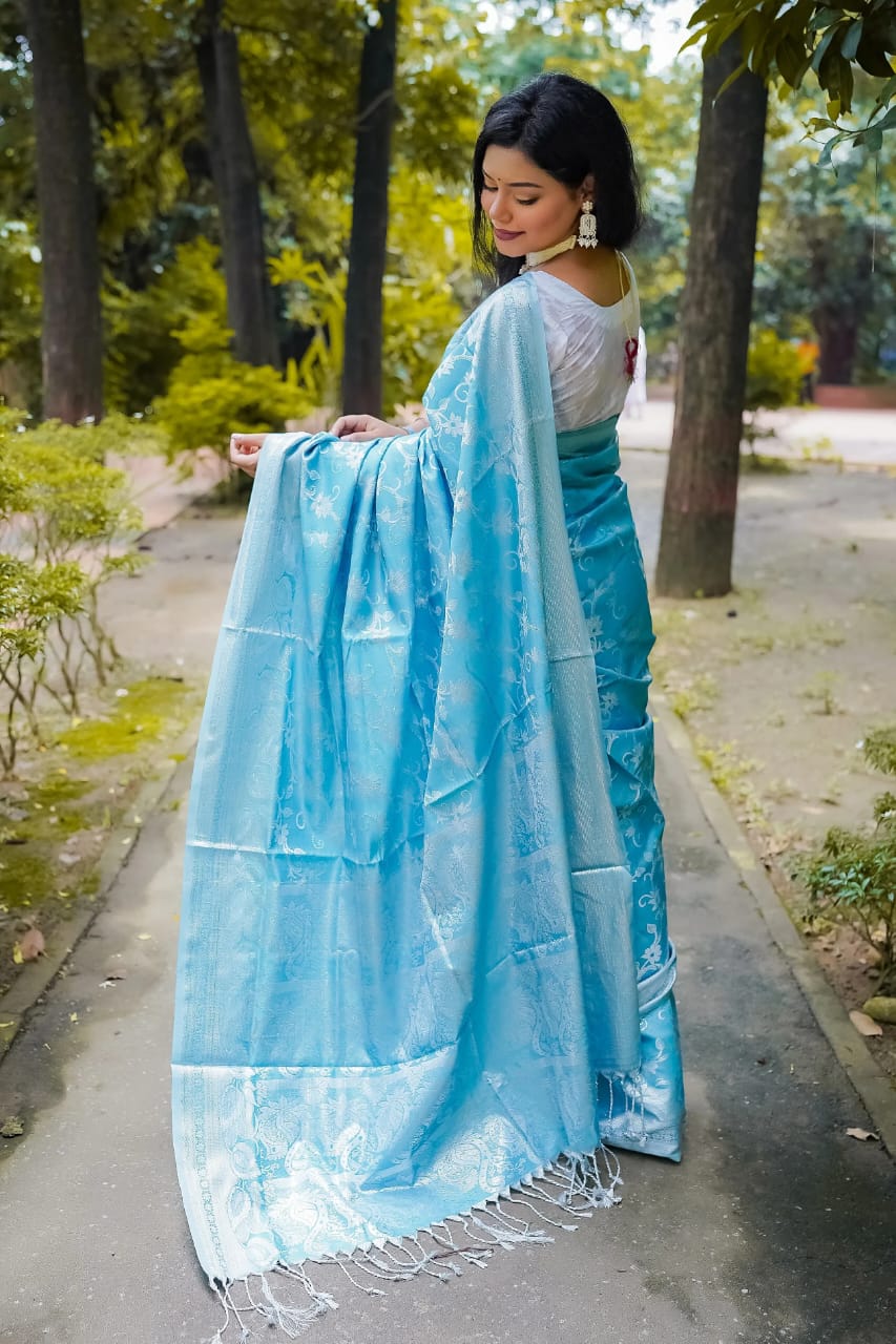কাশ্মীরি লতা কাতান শুধু শাড়ি আকাশী - Image 4