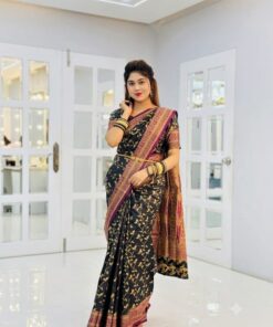 কাশ্মীরি কাঞ্জিভরম ব্লাউজ পিসসহ ব্লাক