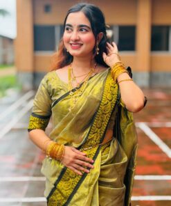 লামা সিল্ক ব্লাউজ পিসসহ জলপাই কালার