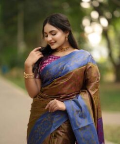 কাঞ্জিভরম ব্লাউজ পিসসহ  জলপাই+ব্লু কনট্রাস্ট